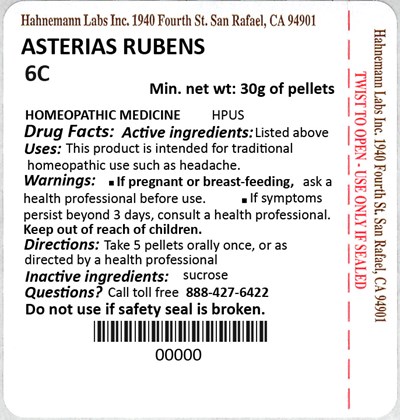 Asterias Rubens 6C 30g.jpg Asterias Rubens 6C 30g - Asterias Rubens 6C 30g